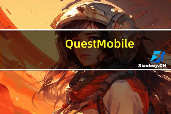 QuestMobile：拼多多月活用户4.29亿，净增3500万