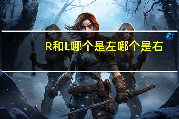 R和L哪个是左哪个是右
