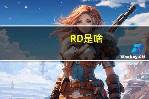 RD是啥