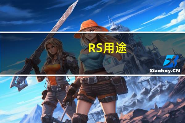 RS用途