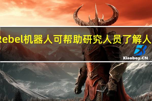 Rebel机器人可帮助研究人员了解人机合作