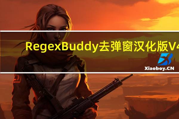 RegexBuddy去弹窗汉化版 V4.8.2.6620 免费版（RegexBuddy去弹窗汉化版 V4.8.2.6620 免费版功能简介）