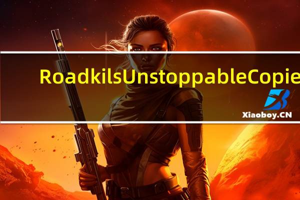Roadkils Unstoppable Copier(专业数据恢复软件) V5.2 官方版（Roadkils Unstoppable Copier(专业数据恢复软件) V5.2 官方版功能简介）