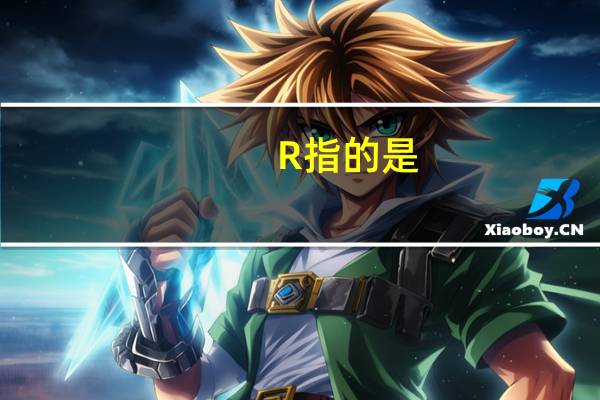 R指的是