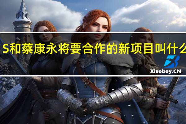 S和蔡康永将要合作的新项目叫什么名字?