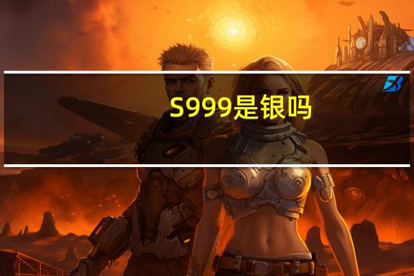 S999是银吗