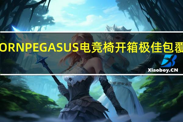 SADESUNICORNPEGASUS电竞椅开箱极佳包覆感游戏中无限畅玩