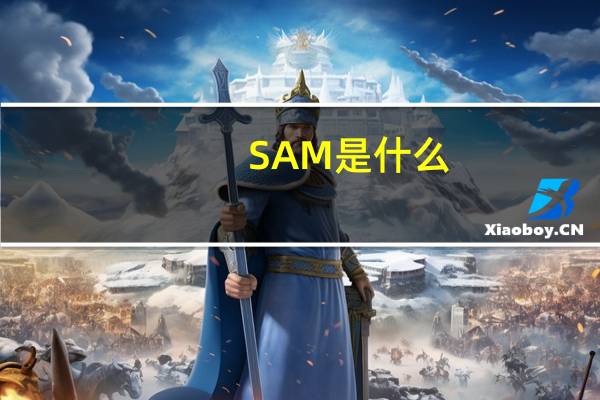 SAM是什么
