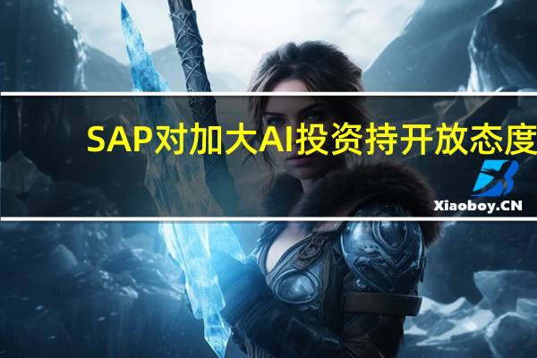 SAP对加大AI（人工智能）投资持开放态度