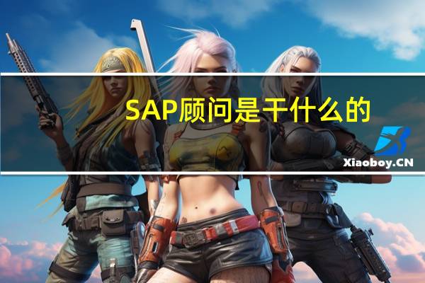 SAP顾问是干什么的
