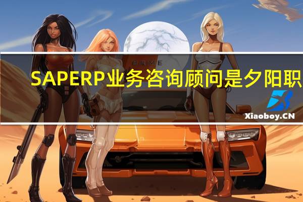 SAP ERP 业务咨询顾问是夕阳职业
