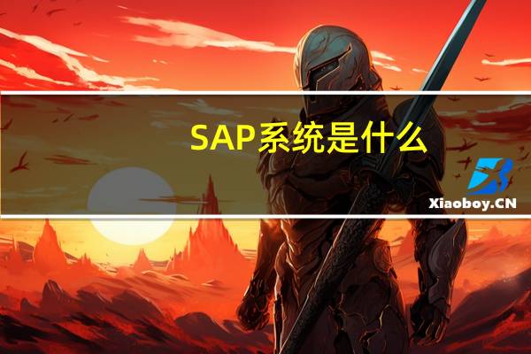 SAP系统是什么