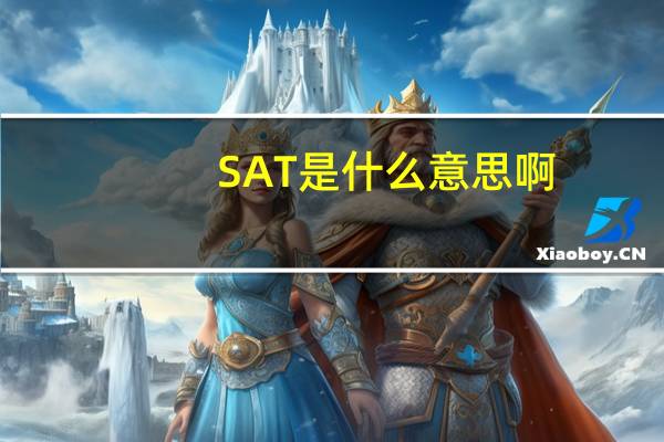 SAT是什么意思啊