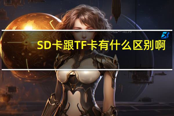 SD卡跟TF卡有什么区别啊