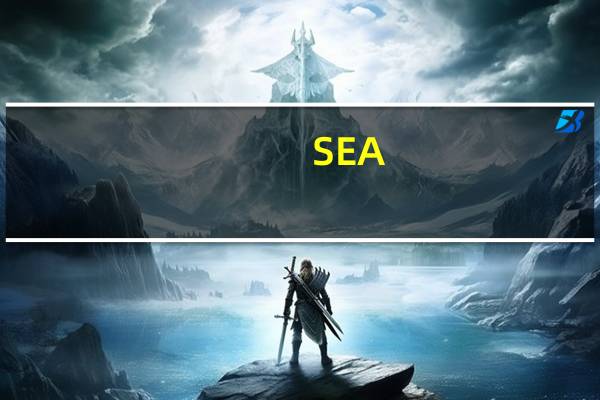 SEA(SE.N)首席执行官：公司将加大对电子商务业务的投资