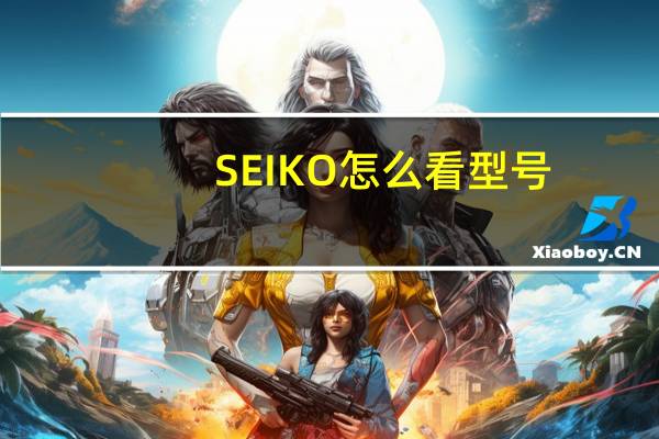 SEIKO怎么看型号