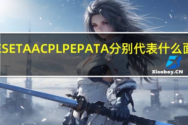 SE SETA AC PL PE PA TA 分别代表什么面料成分