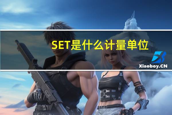 SET是什么计量单位