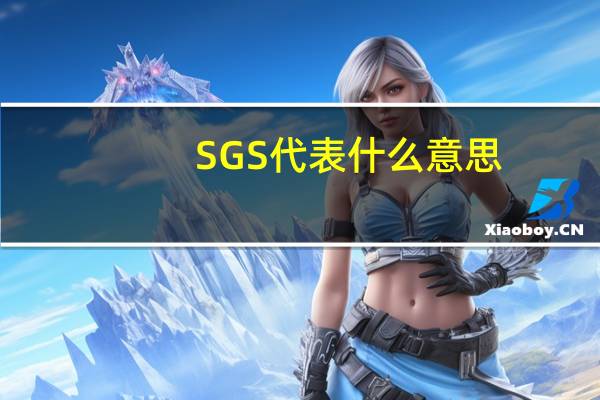 SGS代表什么意思