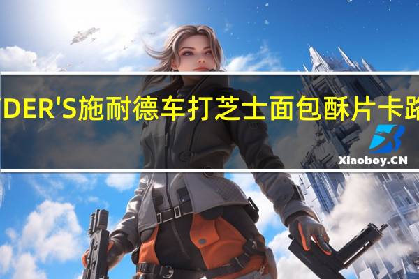 SNYDER'S 施耐德 车打芝士面包酥片卡路里是多少
