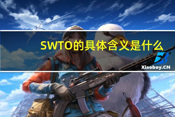 SWTO的具体含义是什么