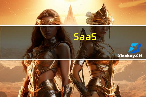 SaaS(关于SaaS的介绍)