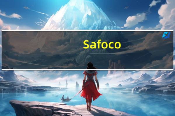Safoco /越南 米纸(米粉春卷皮)卡路里是多少
