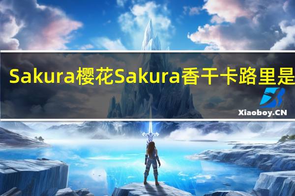 Sakura樱花 Sakura香干卡路里是多少
