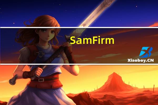 SamFirm(三星固件下载器) V0.4.1 绿色汉化版(SamFirm(三星固件下载器) V0.4.1 绿色汉化版功能简介)