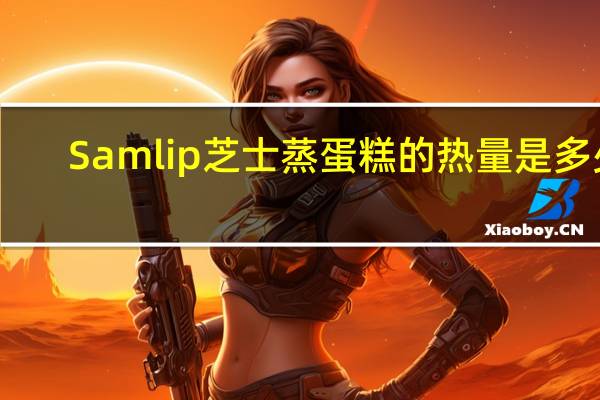 Samlip 芝士蒸蛋糕的热量是多少