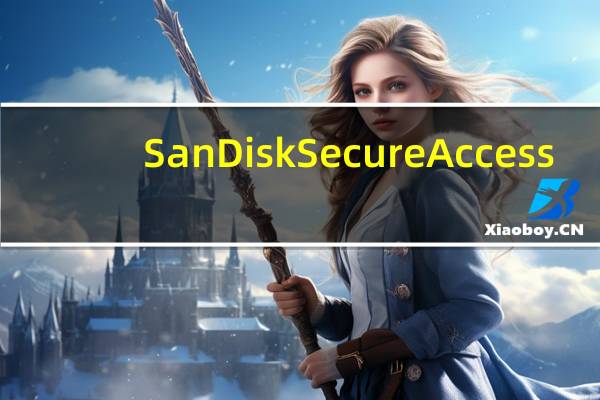 SanDisk SecureAccess(闪迪U盘保险箱) V3.0 中文版(SanDisk SecureAccess(闪迪U盘保险箱) V3.0 中文版功能简介)