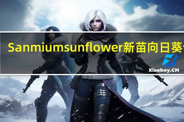 Sanmiumsunflower 新苗向日葵饼干(乳酪味夹心)的热量是多少
