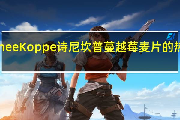 SchneeKoppe 诗尼坎普 蔓越莓麦片的热量是多少