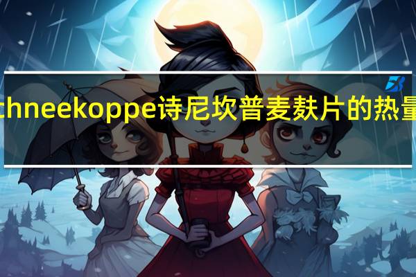 Schneekoppe 诗尼坎普 麦麸片的热量是多少