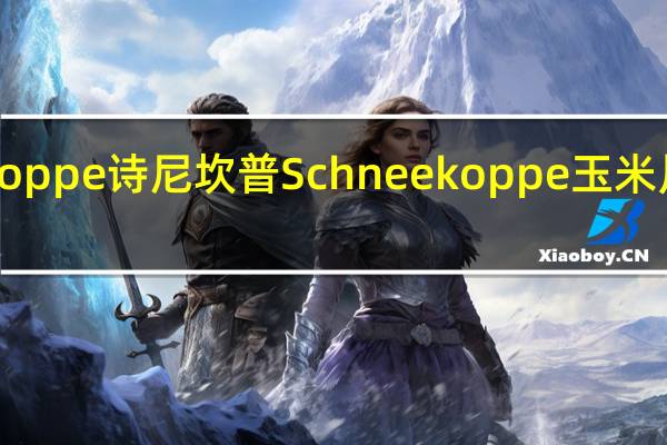 Schneekoppe 诗尼坎普 Schneekoppe玉米片卡路里是多少