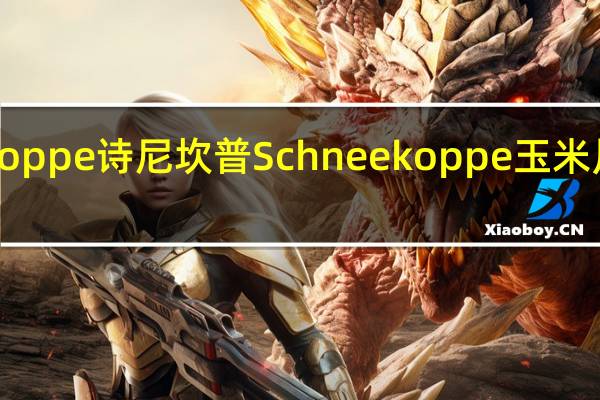 Schneekoppe 诗尼坎普 Schneekoppe玉米片的热量是多少