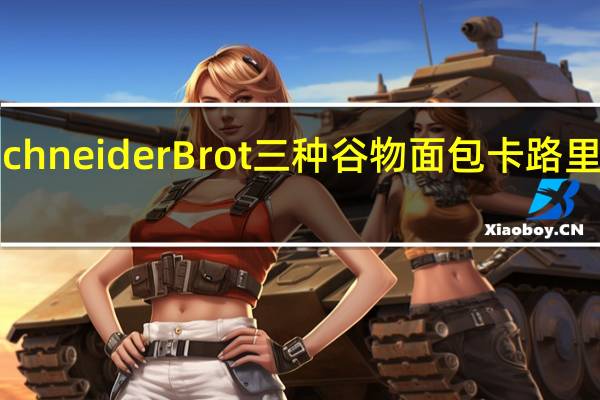 SchneiderBrot 三种谷物面包卡路里是多少