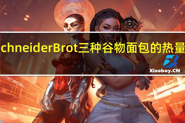 SchneiderBrot 三种谷物面包的热量是多少