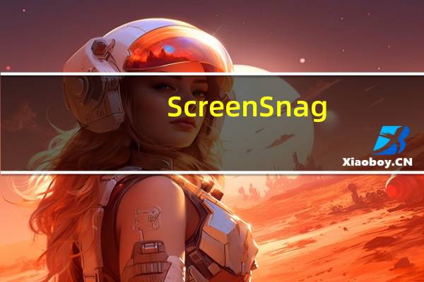 ScreenSnag(好用的屏幕截图工具) V1.4.0.1 免费版（ScreenSnag(好用的屏幕截图工具) V1.4.0.1 免费版功能简介）