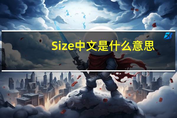 Size中文是什么意思