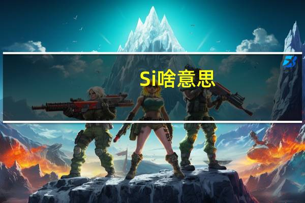 Si啥意思