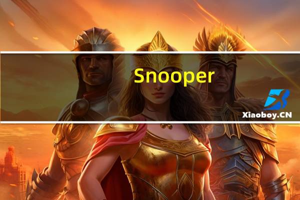 Snooper(简单电脑录音软件) V1.47.8 官方免费版（Snooper(简单电脑录音软件) V1.47.8 官方免费版功能简介）