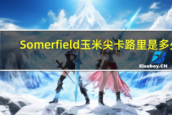 Somerfield 玉米尖卡路里是多少