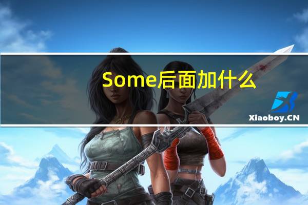 Some后面加什么