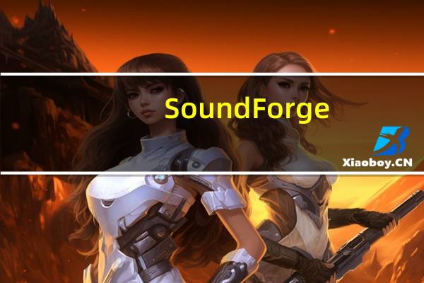 Sound Forge(音频编辑) V9.0 汉化版(Sound Forge(音频编辑) V9.0 汉化版功能简介)