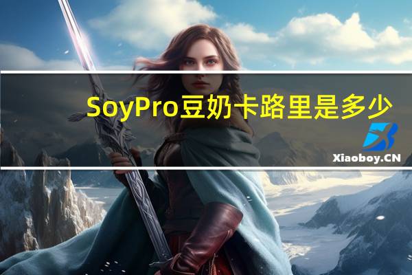 Soy Pro 豆奶卡路里是多少