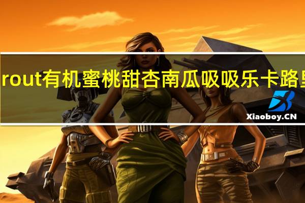Sprout 有机蜜桃甜杏南瓜吸吸乐卡路里是多少