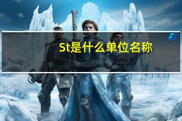 St是什么单位名称