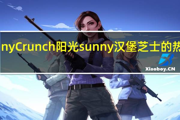 Sunny Crunch 阳光 sunny 汉堡芝士的热量是多少
