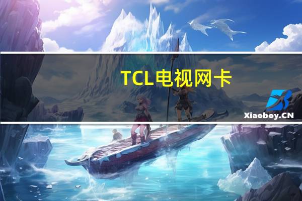 TCL电视网卡（电视网卡）